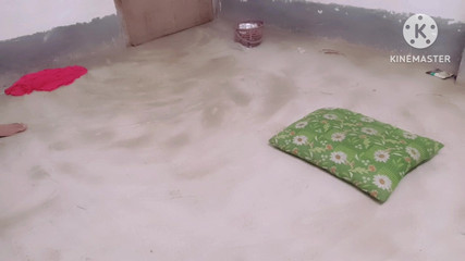 Big Penic Big Land Pakistani Land Bangladeshi Land Big and Small Land Black Land