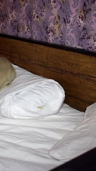 Tiny Blonde Midget Electra Gets Her Tight Pussy Fully Blackbred by Big Black Giant Bull