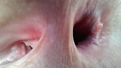 When I Gape, the Studio Smell